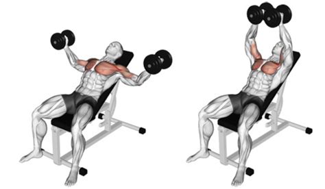 Dumbbell Chest Fly: How to, Benefits, Safety, Variations